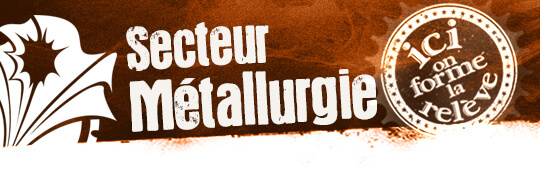 secteur métallurgie